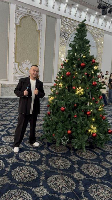Ведущий,шоумен, новый год