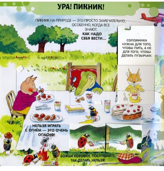 Книги с окошками