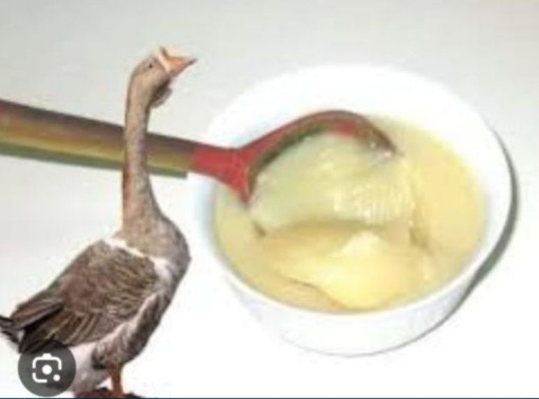 Г'оз,Бу'рсик,Айик,-ёг'лари