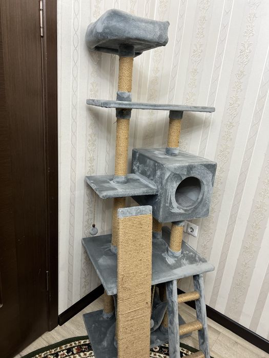 Супер Кошкин дом