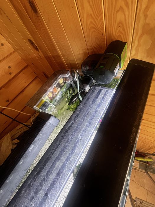 Vand acvariu 80 L complet