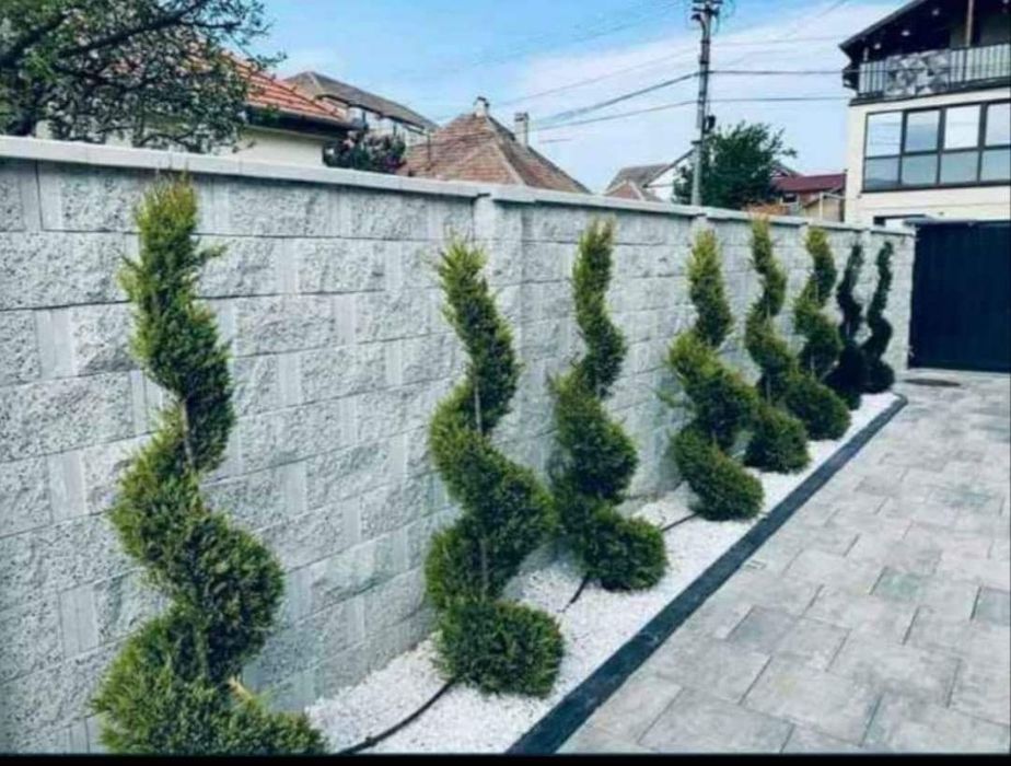 Plante ornamentale și rulou de gazon.
