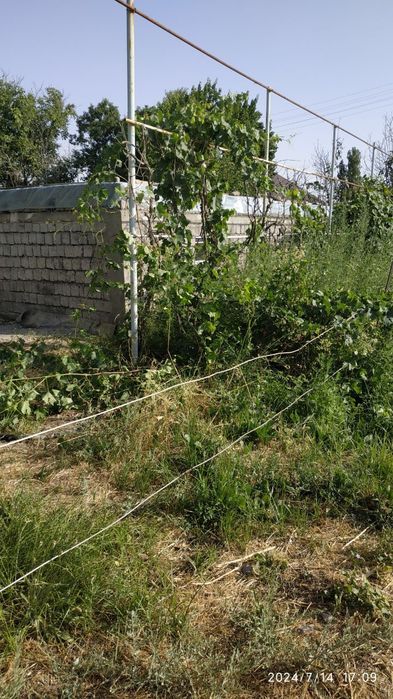 Продаётся земельный участок в Таш.области