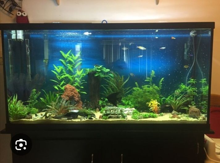 Акварим ясаб ремонт хизмати.