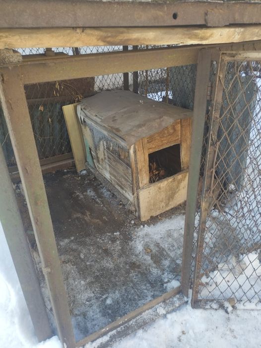 Вольер для собаки