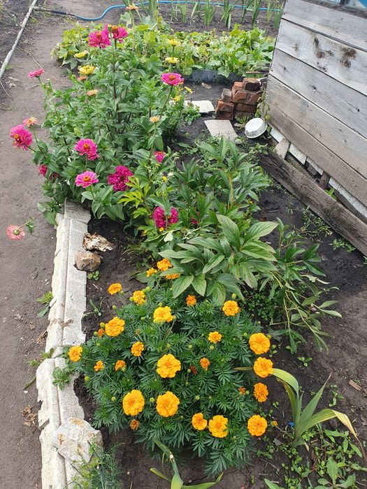 Продам дачу,,Тихая роща,,