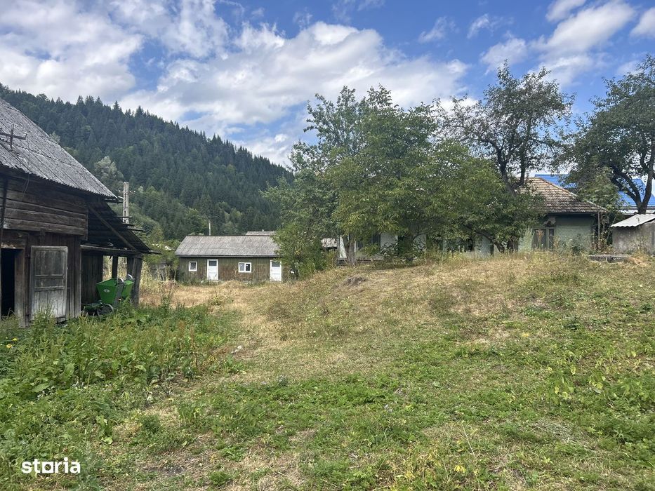 Teren intravilan de vânzare, 5000 m