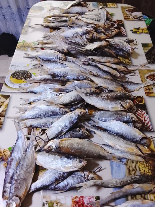 Продам рыбец вяленый