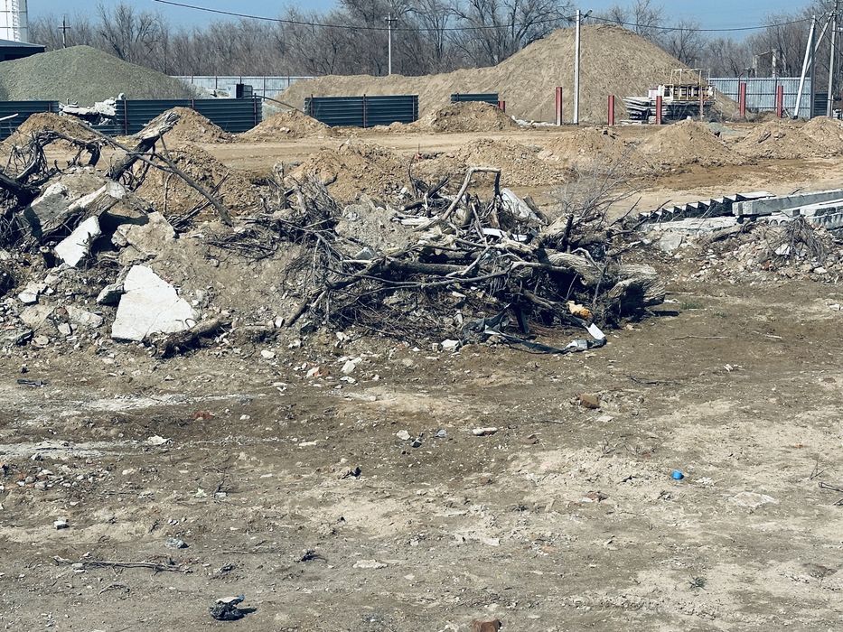 дерево сухой на