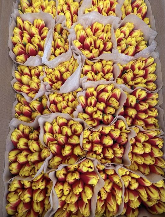 Тюльпаны на 6,7,8 марта оформление