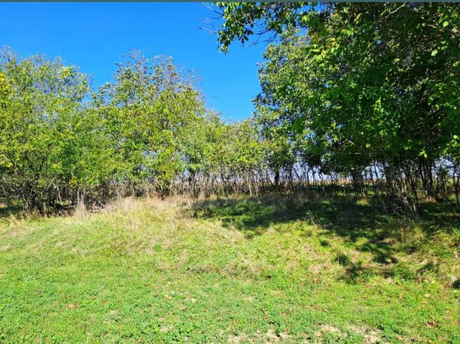 Продава се Къща в Варна, Колхозен пазар - 100 кв.м за 195 €/кв.м - Снимка #5