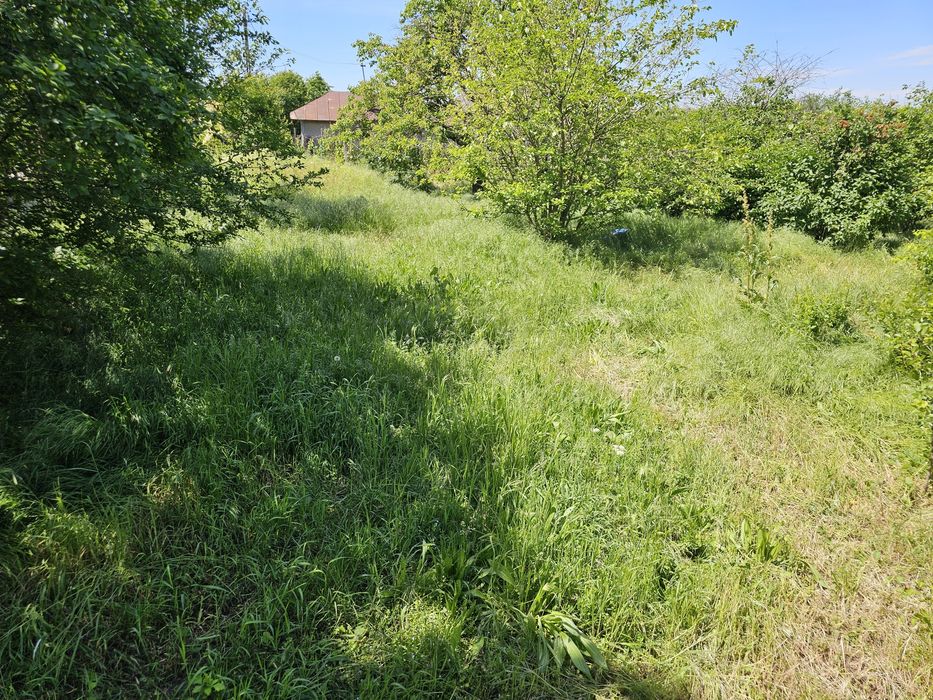 Teren intravilan  Stejaru 2077mp cu casa batraneasca NELOCUIBILA, langa Bucuresti