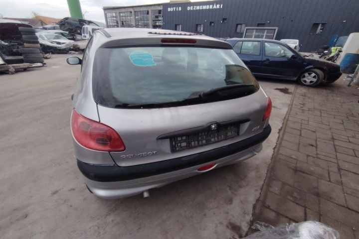 Punte spate Peugeot 206 2001 1.4 MT (75 hp)
