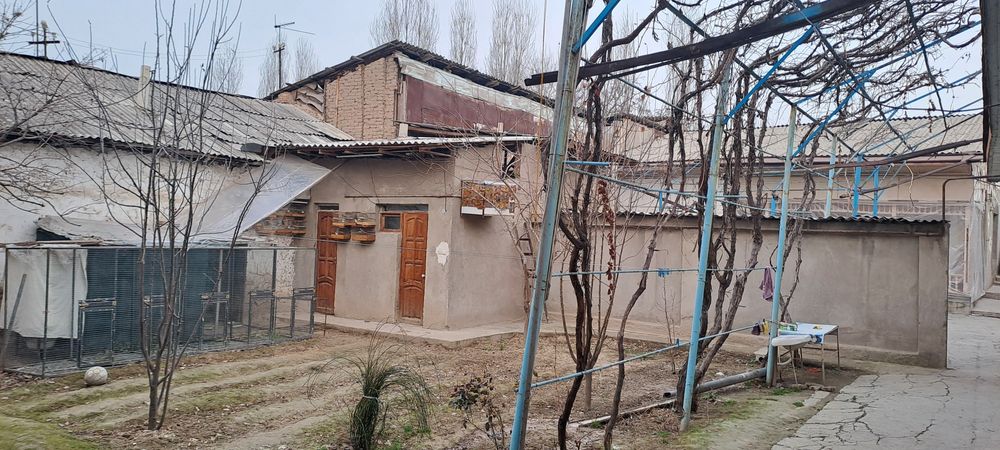 Учаска 6 сотихли