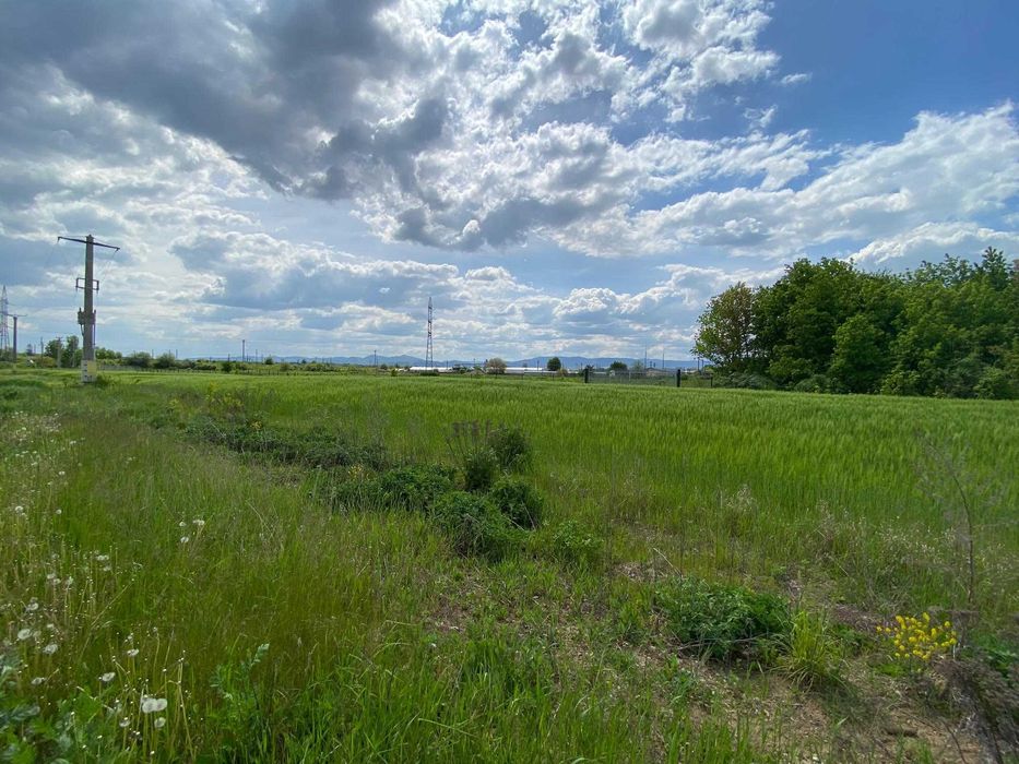 Proprietate de vanzare hale teren afacere