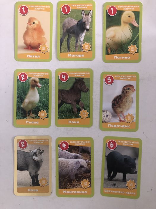 Карти Любими мъничета