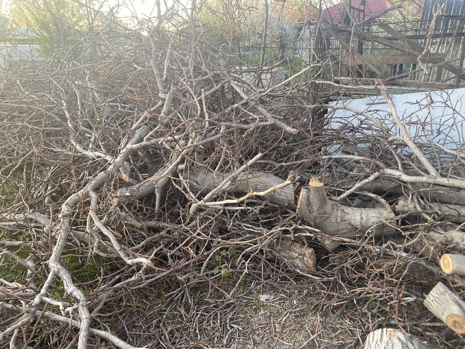 Отдам даром дрова