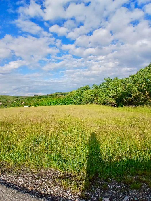 Teren intravilan de vânzare –com. Chinteni | 2.900mp |