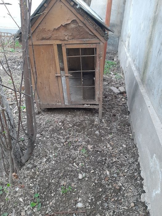 Собачий дрмик очень удобный