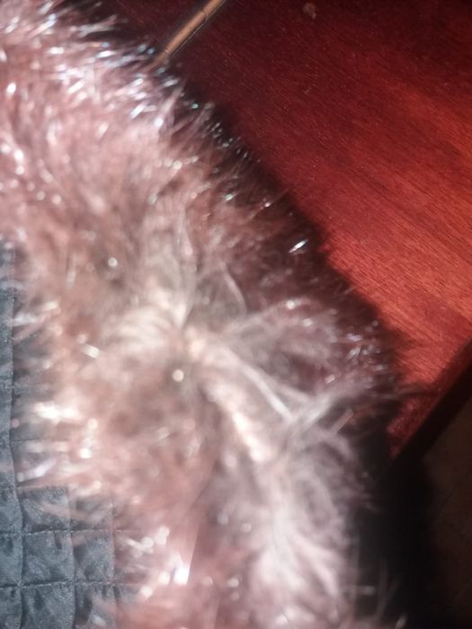 Мужская меховая шапка