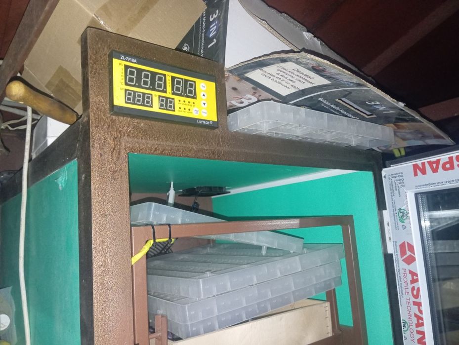 Инкубатор сатылады срочно