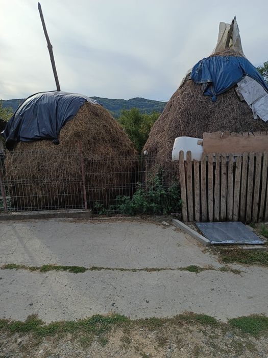 Vând 2 copite de fân