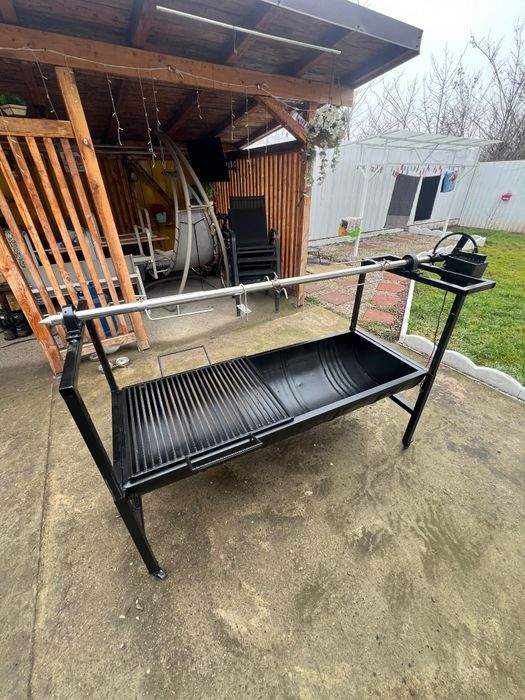 Rotisor/proțap electric