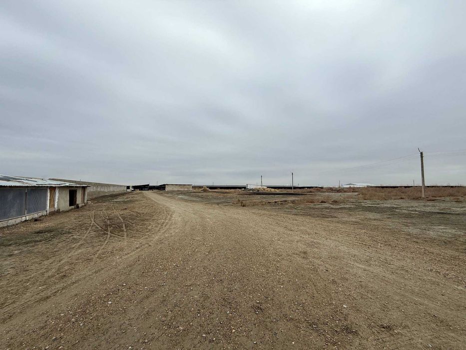 TAYYOR 4 GEKTARLI JOY Sotiladi #a730