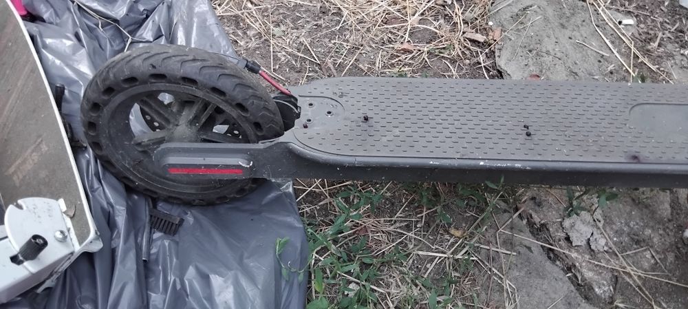 Техника и най различни моркови нища