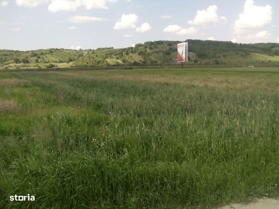 Teren intravilan pentru industrie si servicii in Cristian