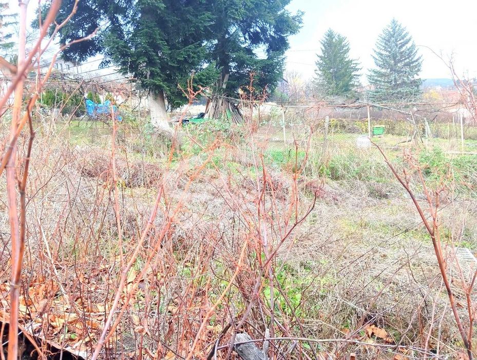 Продава се Парцел в Банкя - 500 кв.м за 146 €/кв.м - Снимка #7