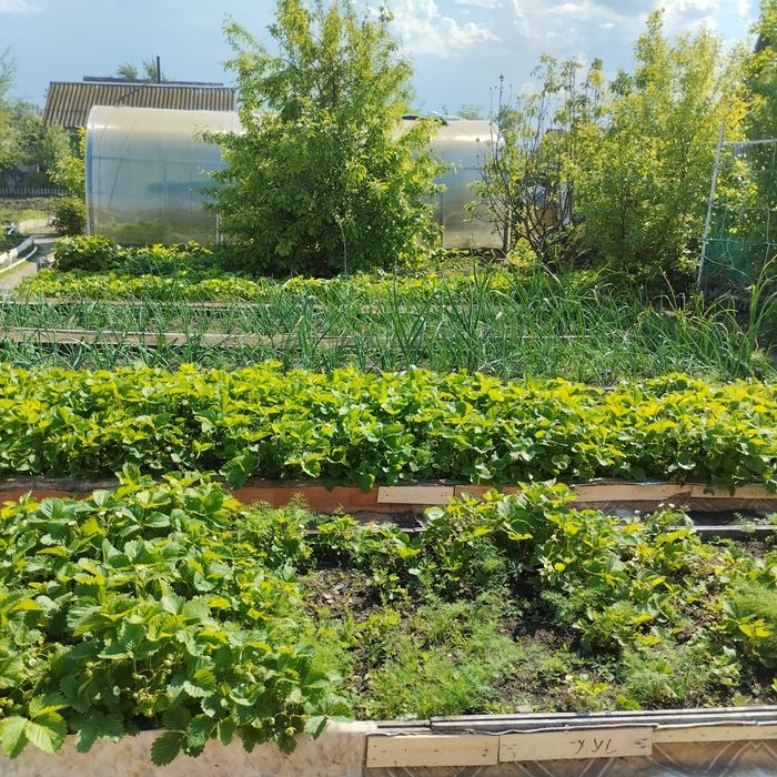 Продам отличную дачу