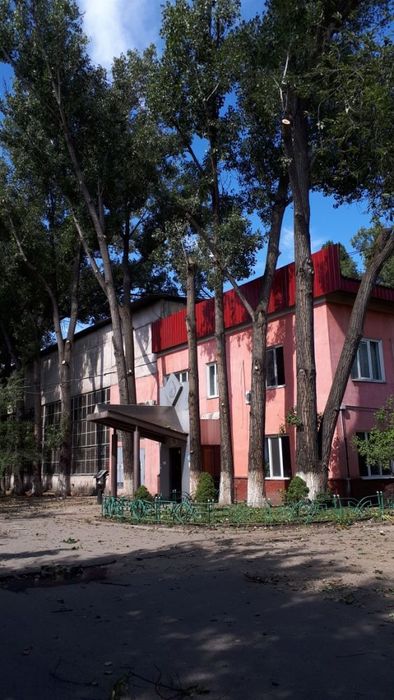 Спил деревьев распил на дрова