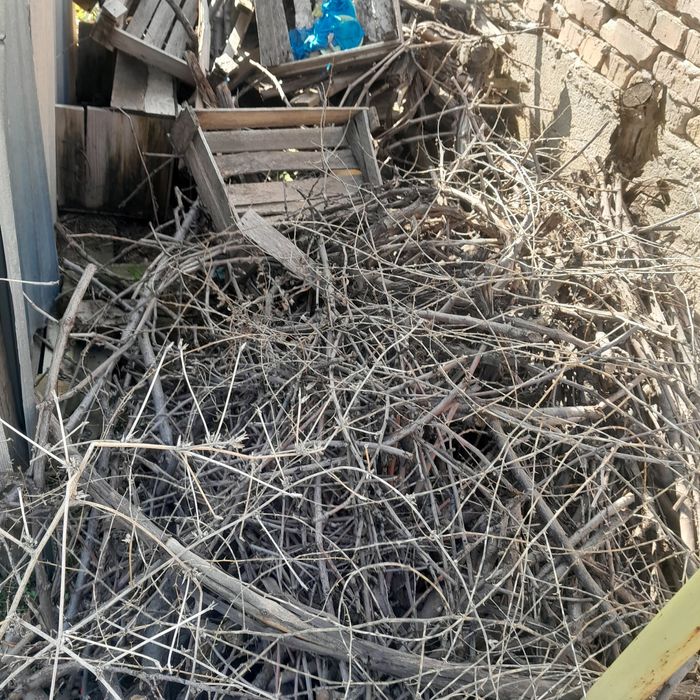 Дрова отын кебуууу