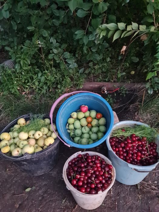 Продажа дачи. СК.черемуха 78.