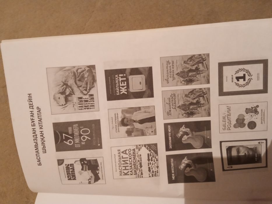 Книга Бір жылда қалай баспаналы болдым.