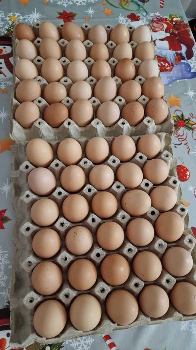 Ouă de vânzare proaspete