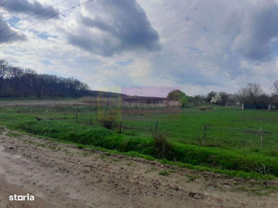 De Vanzare Teren 3400 Mp In Sat Podu Ilfovat / Com Buturugeni (Gr)