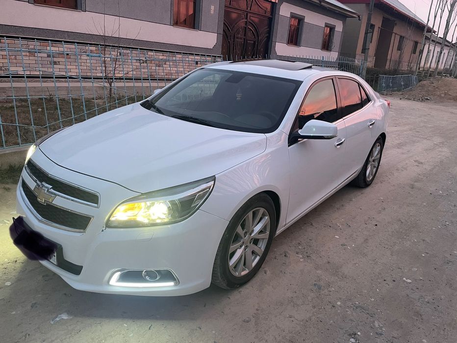 Malubi 1 3 pozirsiya