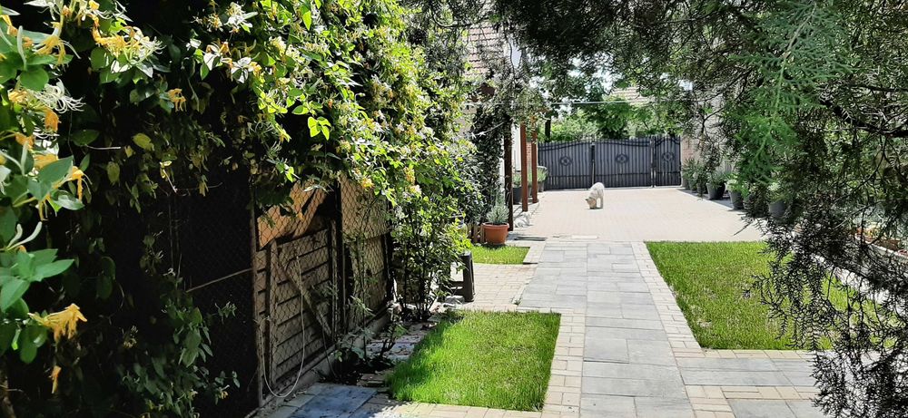 Liniste si placere 149.000€