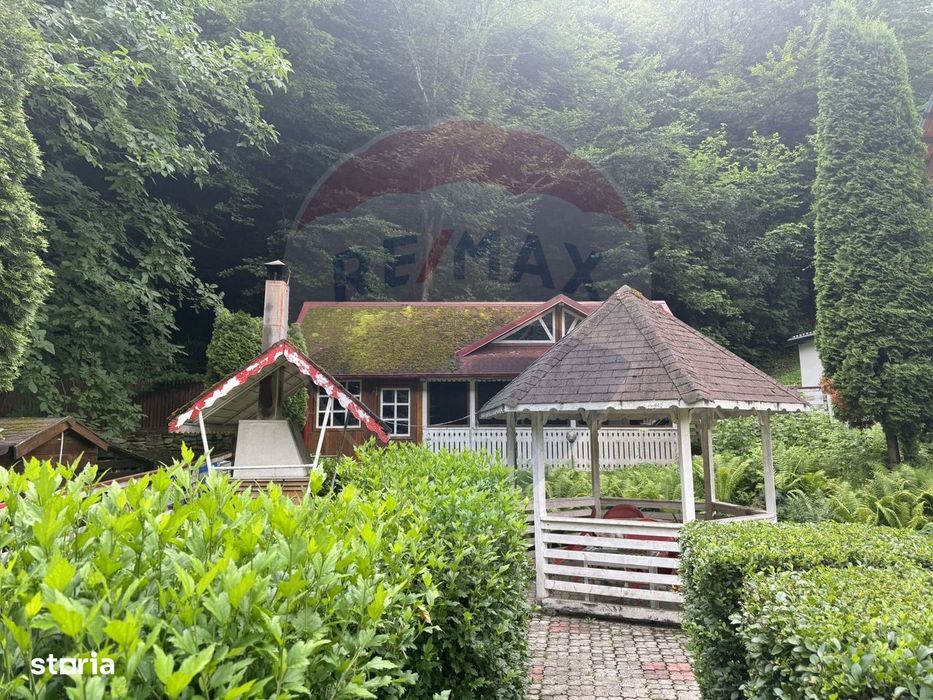 Cabana autentica de munte Frasinet - Baisoara 600 mp teren