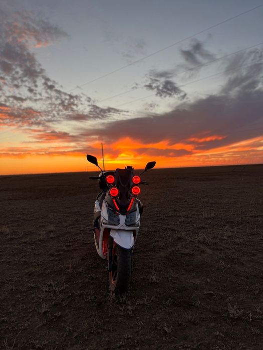 Прооодамм самурай