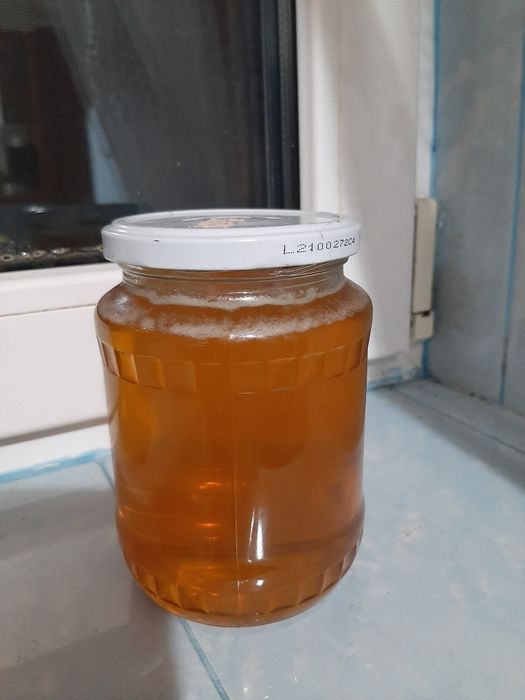 De vânzare stoloni de căpșuni și miere de albine