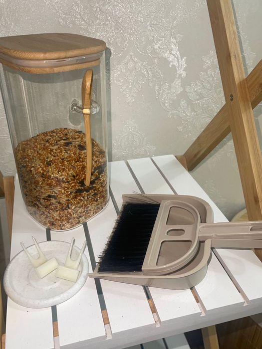 Продам волнистых попугаев