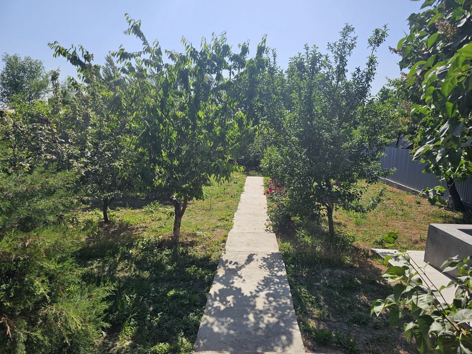 Уютная дача с бассейном и плодовыми деревьями, Новбахор