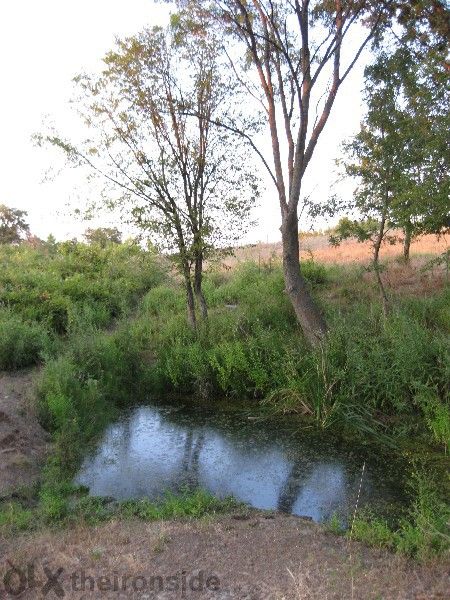 Продава се Земеделски имот в Царево -  кв.м за 27000 €/дка - Снимка #10