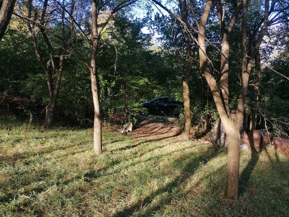 Gradina de vanzare
