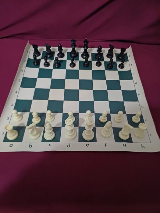 Шахматы с футляром