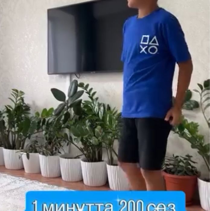 Фикуи долларовое дерево 120000 и 14000