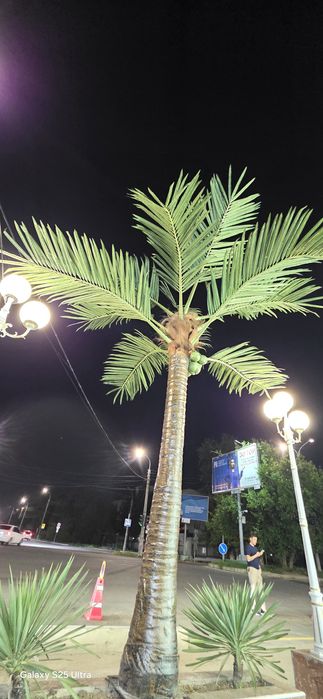 Palma darahtlar искусственный пальмовые деревья